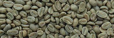 Rohkaffee Äthiopien Sidamo